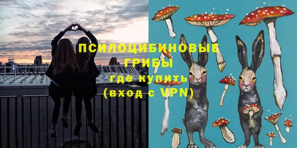 твердый Костерёво